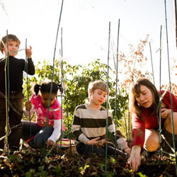 young children planting in a garden